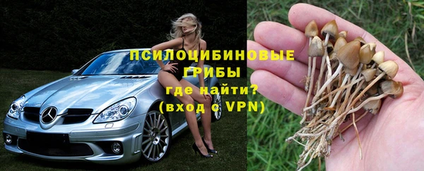 стаф Горнозаводск