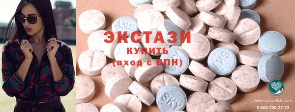 таблы Гусев