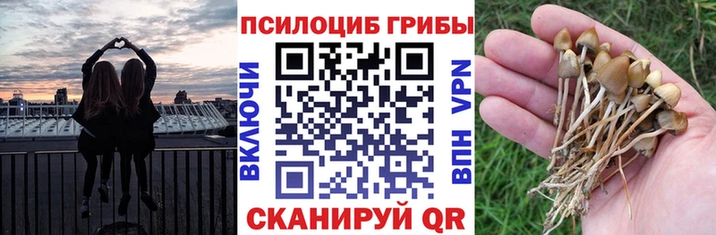 Галлюциногенные грибы MAGIC MUSHROOMS  где продают   Кремёнки 